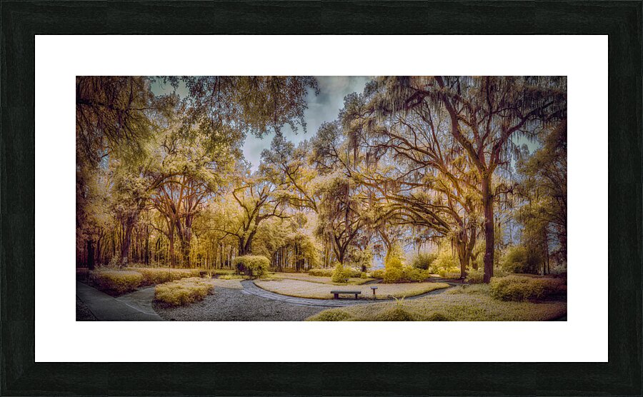 Mustard Labyrinth Picture Frame print