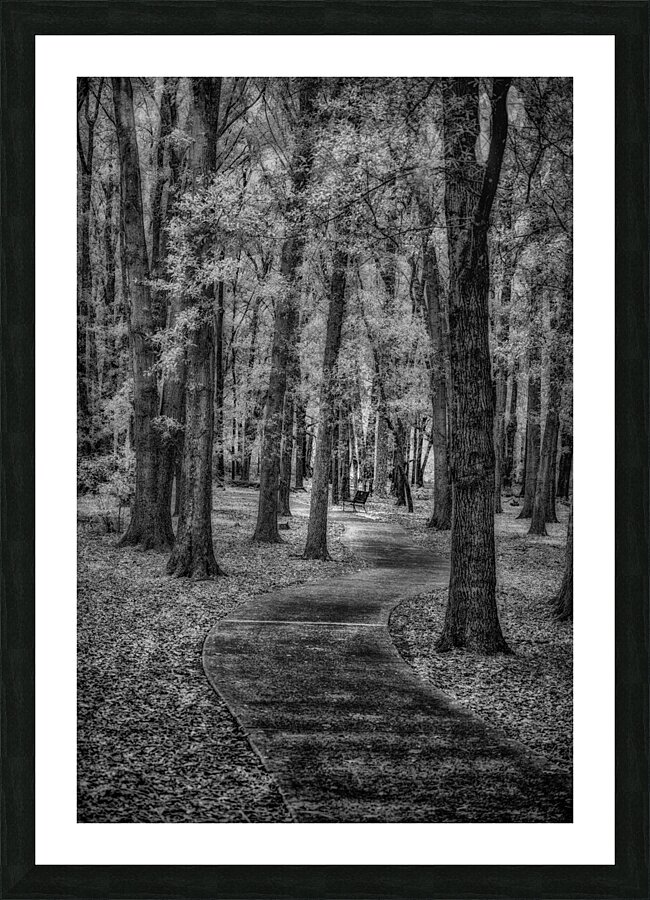 Sholom Path Impression et Cadre photo