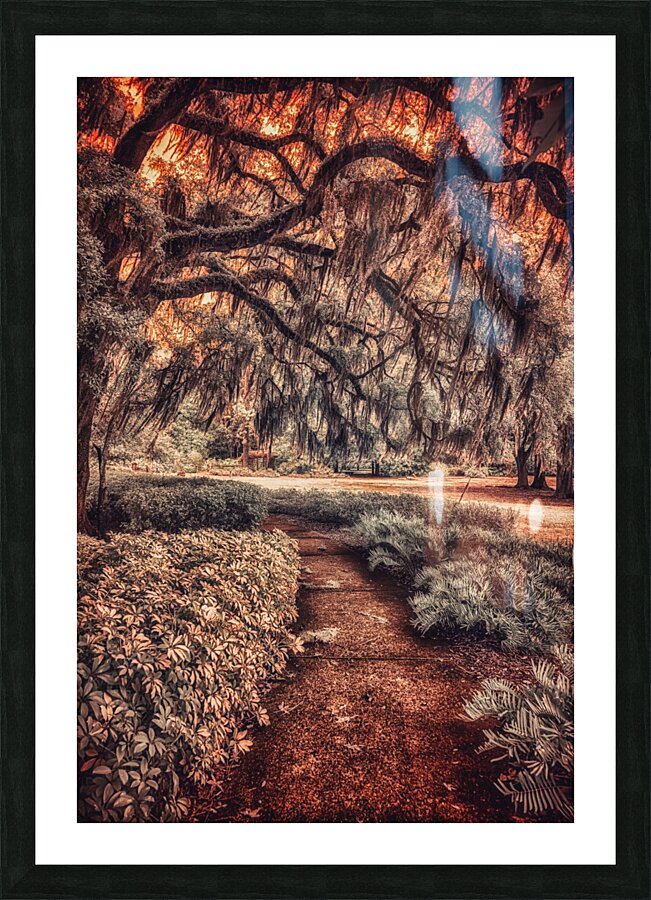 Mossy Path Impression et Cadre photo