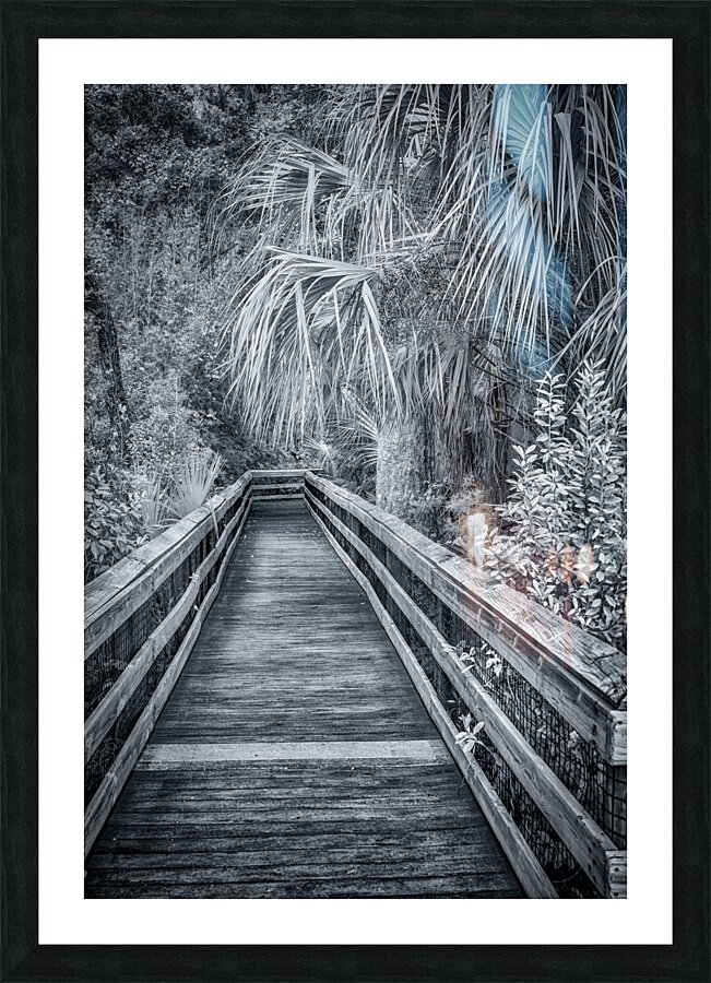 Selenium Boardwalk Picture Frame print