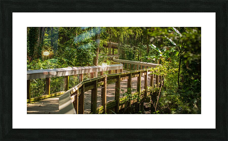 Green Boardwalk Picture Frame print