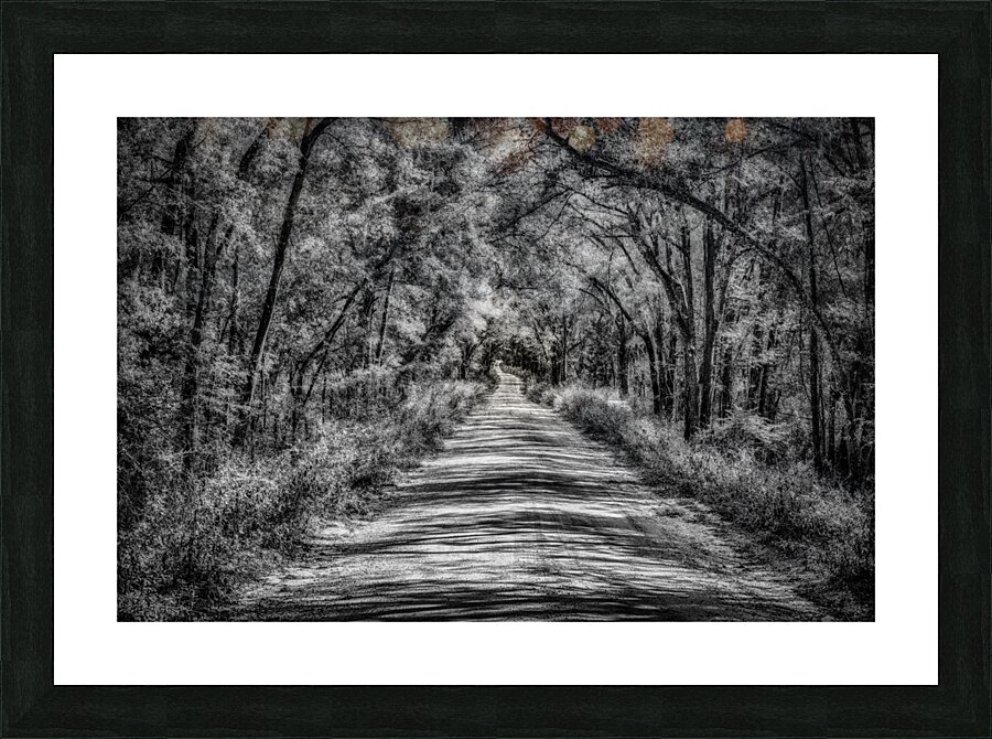 Florida Dirt Road Picture Frame print