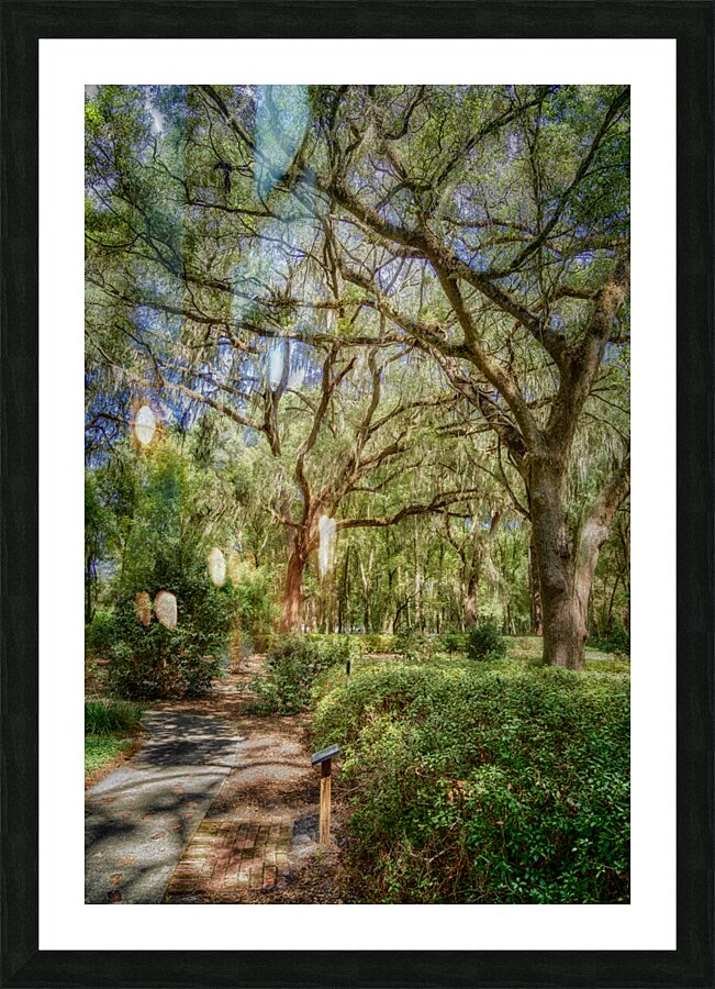 Peaceful Garden Picture Frame print