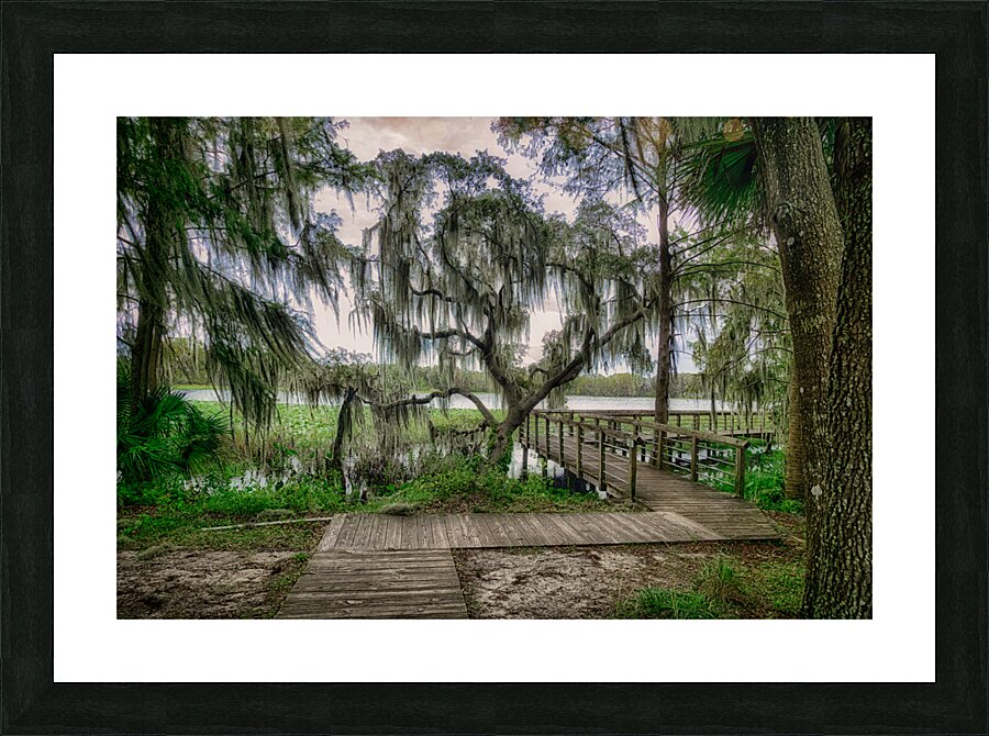 Mossy Right Angle Impression et Cadre photo