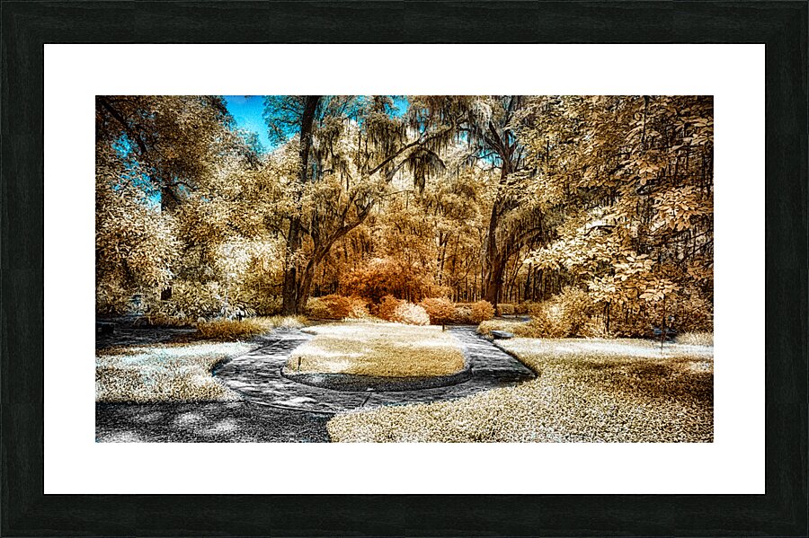 Golden Labyrinth  Picture Frame print