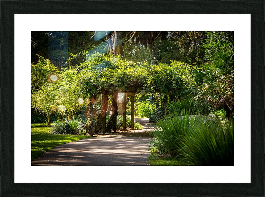 Rainbow Springs Path Picture Frame print