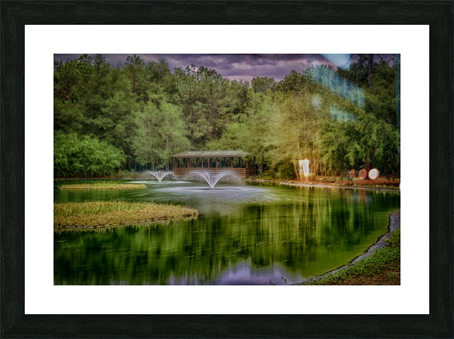 Aqua Symphony: Sholom Park Florida Picture Frame print