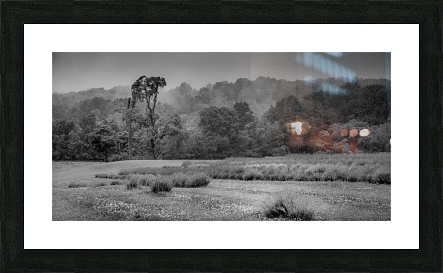Morning Mist Valley Picture Frame print