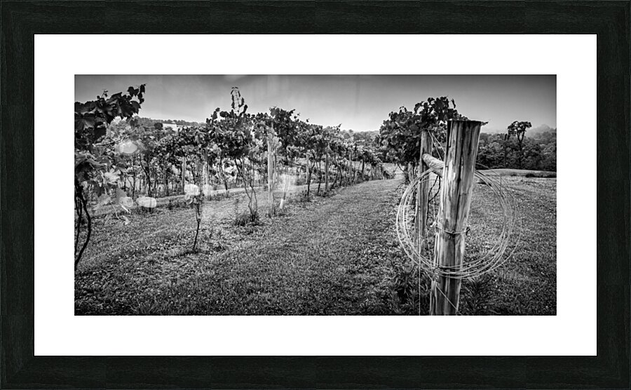 Extra Wire Impression et Cadre photo