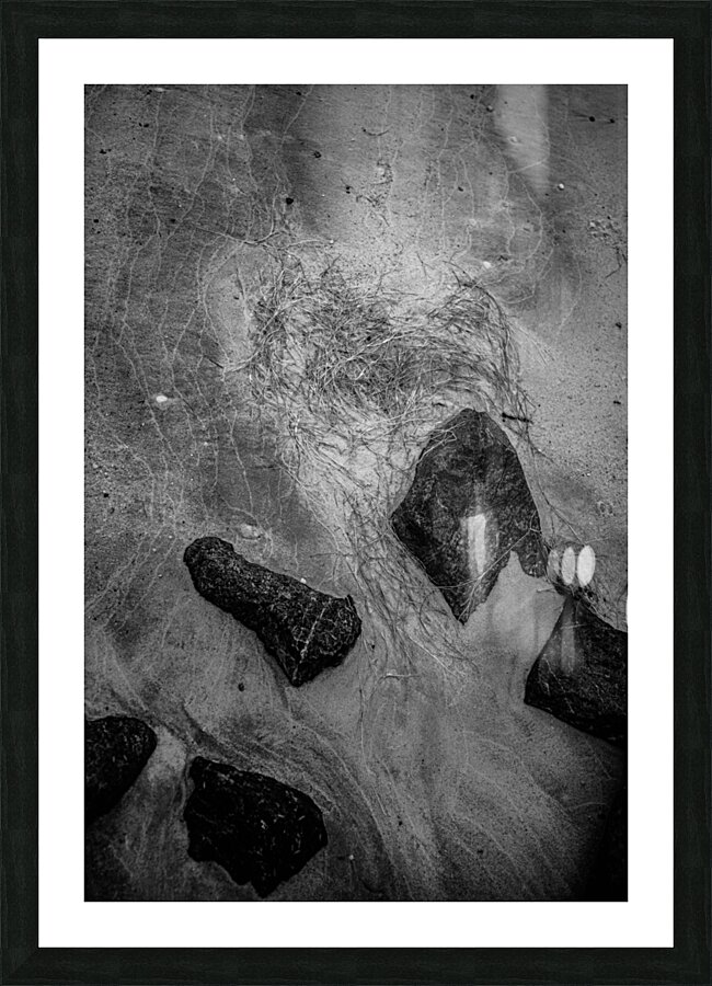 Shoreline Sonata Picture Frame print