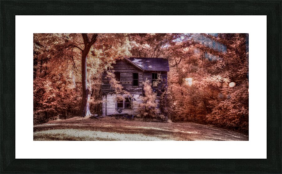 Unveiling the Mysteries of Brooms Island:  Forgotten Picture Frame print