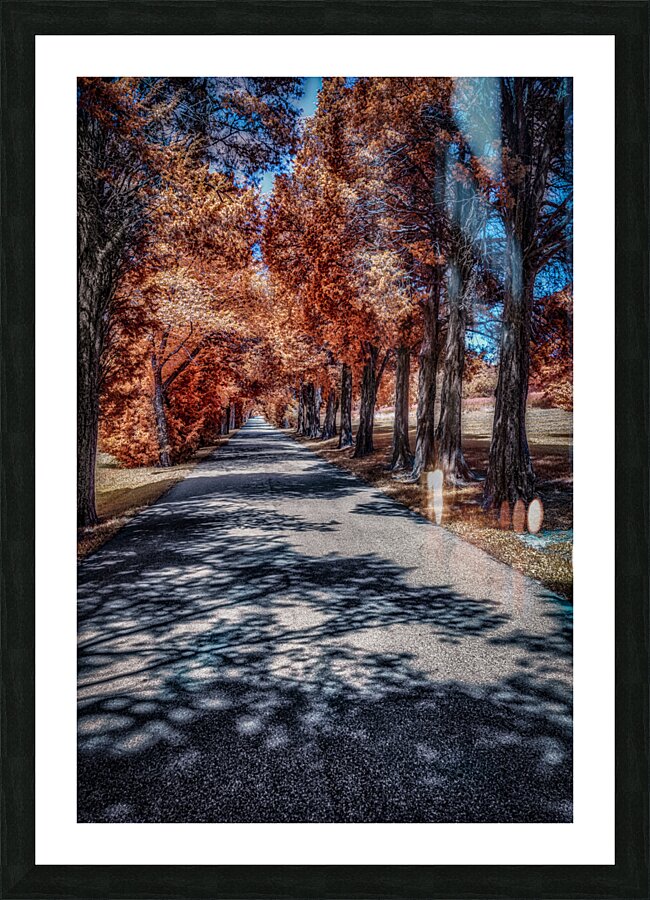 Infrared roadway Picture Frame print