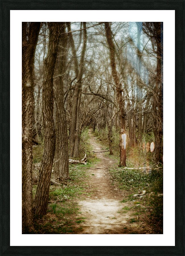 Woodlands Ancient Path Impression et Cadre photo