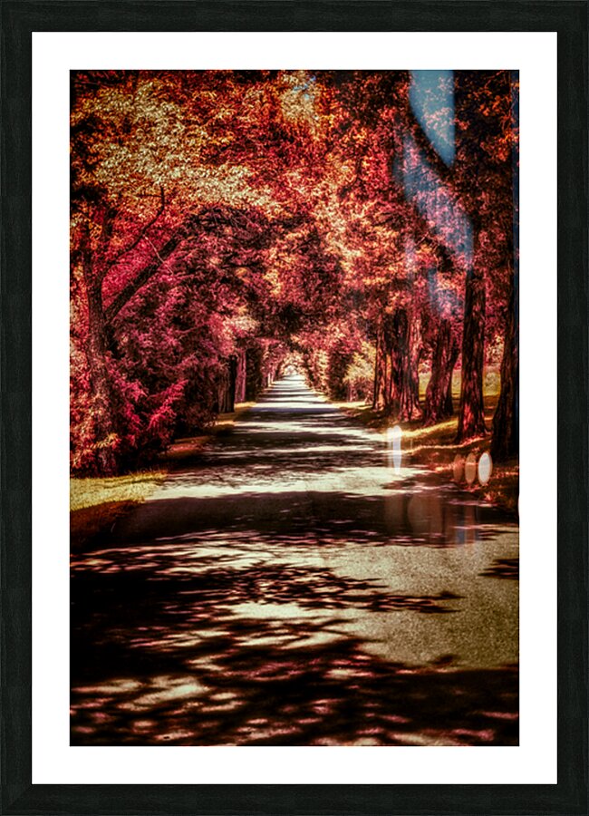 Autumn Roadway Picture Frame print