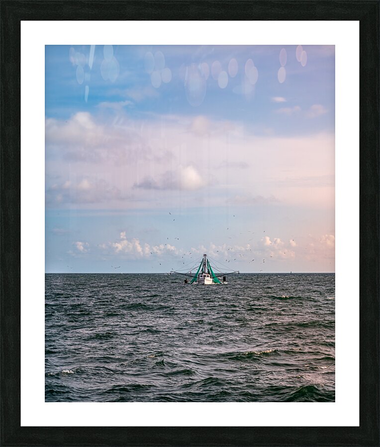 Fishing for Birds Picture Frame print