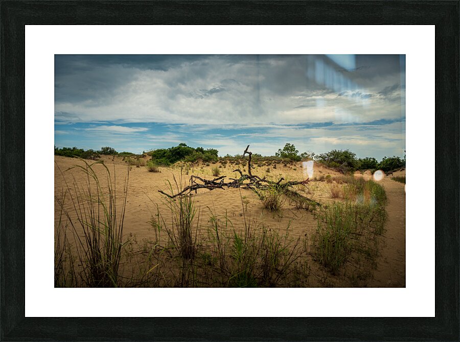 Jockey Ridge - 1 Picture Frame print