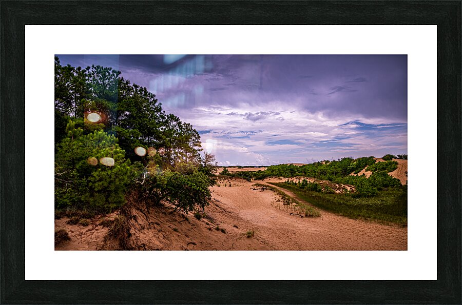 Jockey Ridge State Park Picture Frame print