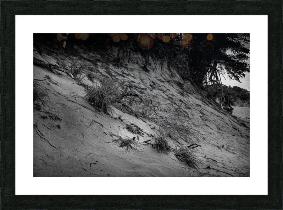 Dunes Shadow Symphony Picture Frame print