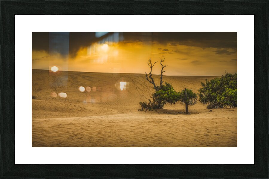 Dunes of Change: Jockey Ridge Sunset Impression et Cadre photo