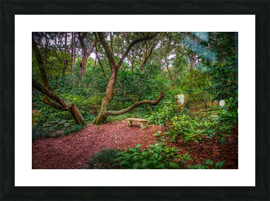 Serene Seat Picture Frame print
