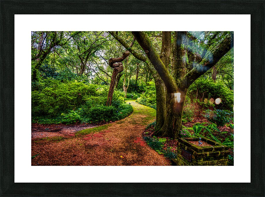 Exploring the Enchantment: A Journey through Elizabethan Gardens in Manteo North Carolina Impression et Cadre photo