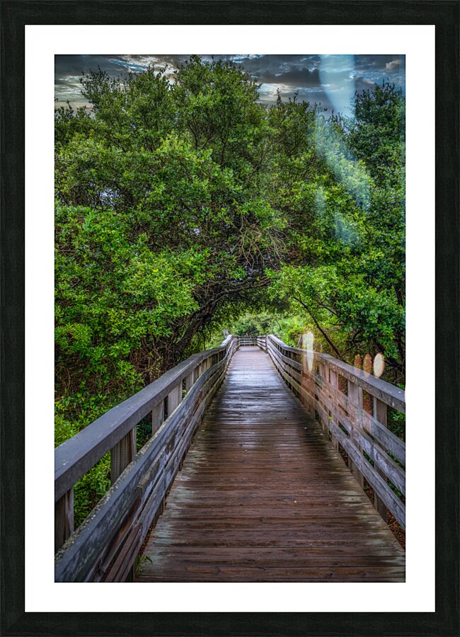 Jockey Boardwalk Picture Frame print