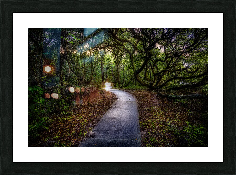 Labyrinth Picture Frame print