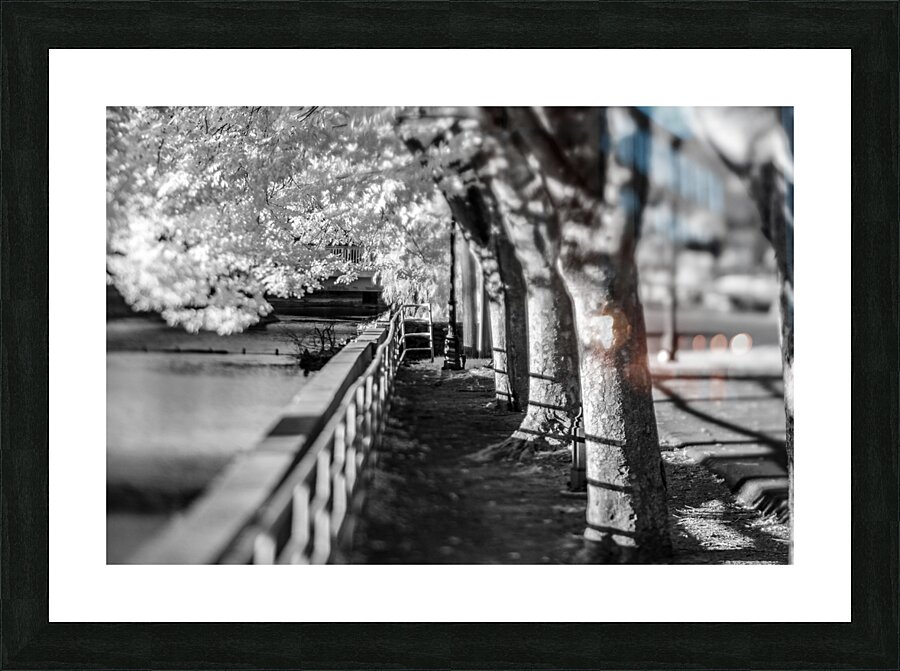 Monochrome Serenity: Exploring Yorks Riverside Beauty Picture Frame print