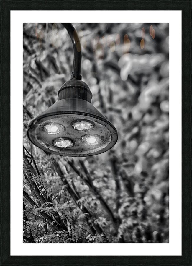 Infrared Light Picture Frame print