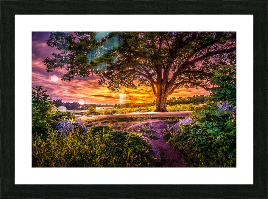 Fairytale Sunset Picture Frame print