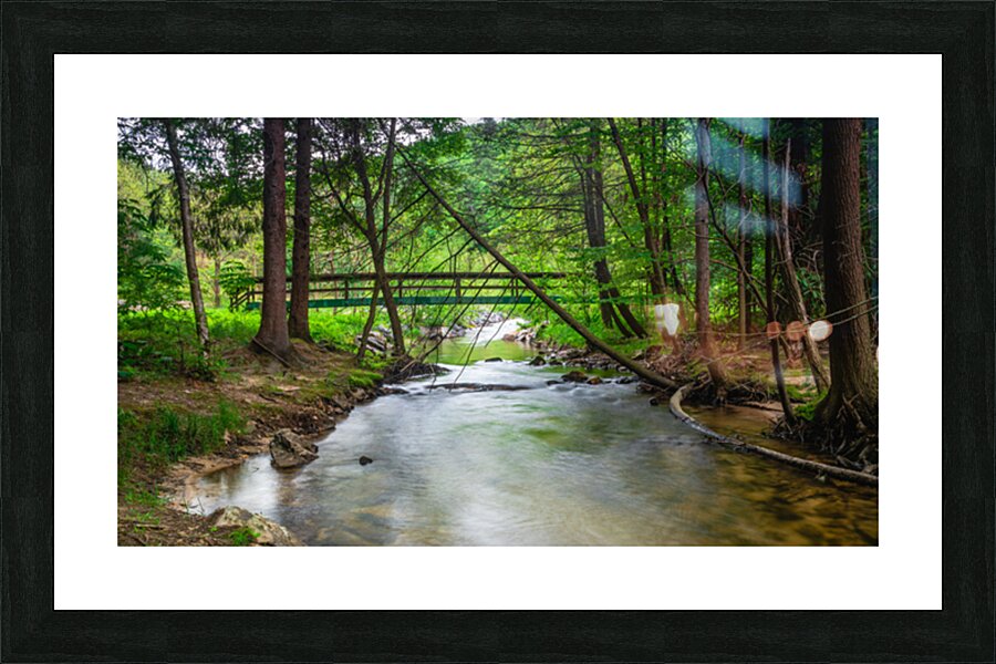 Woodland Bridge Reflections Picture Frame print