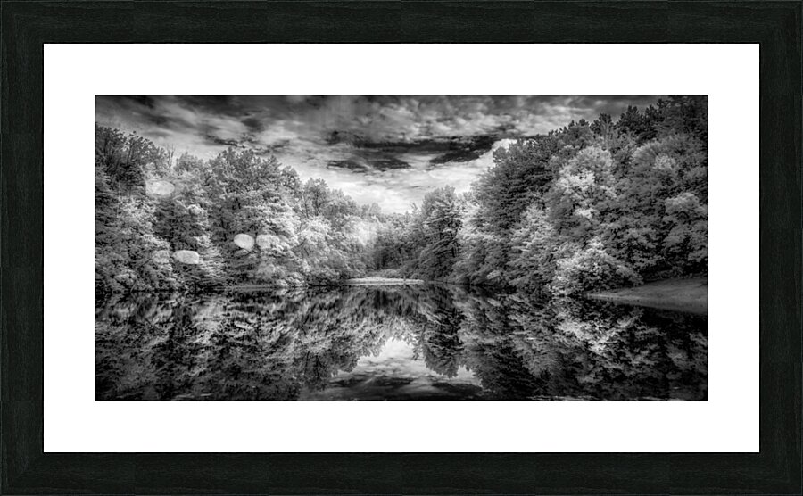 Pensive Picture Frame print