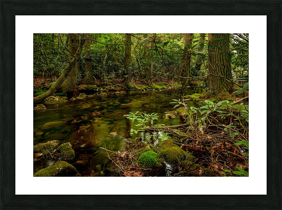 Calm Birch Run Pool Picture Frame print