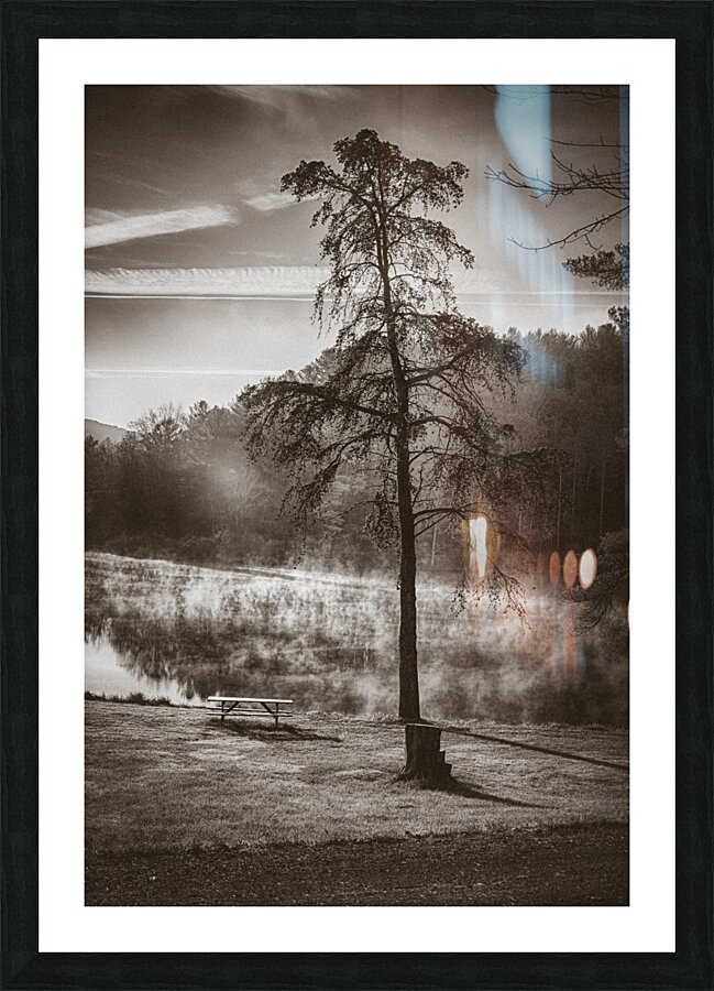 Odd Pair Sepia Picture Frame print