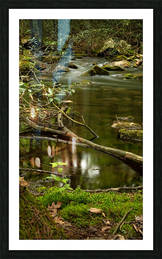 Woodlands Gentle Rapids Picture Frame print