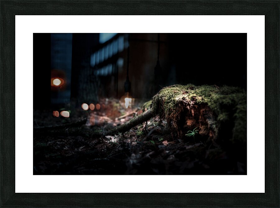 Veil of Quiet Elegance Picture Frame print