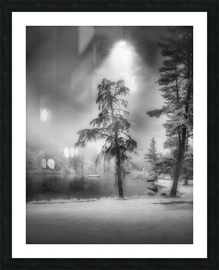 Lighted PA Pine Picture Frame print