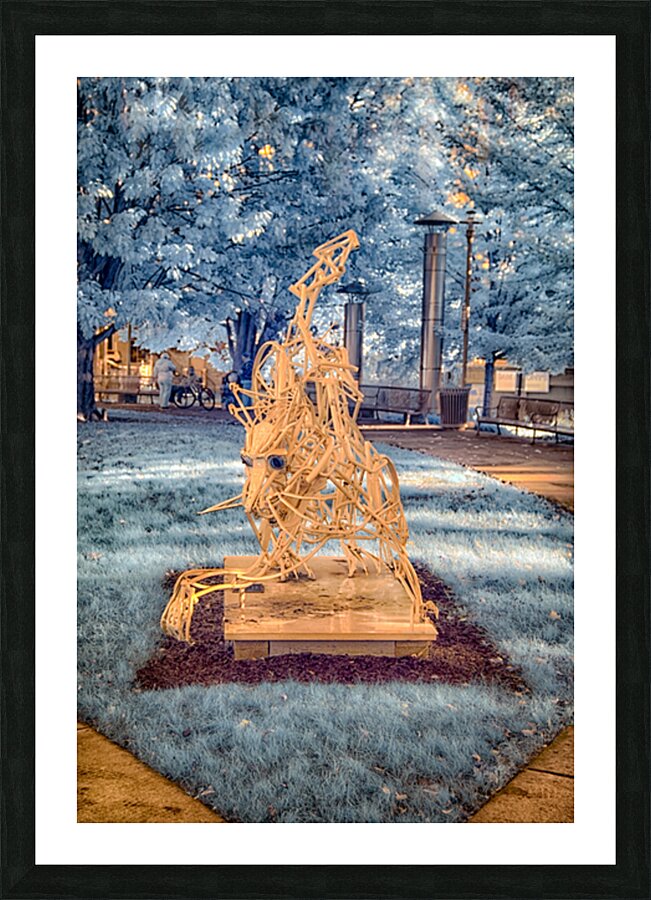 Dance of Light and Steel Impression et Cadre photo