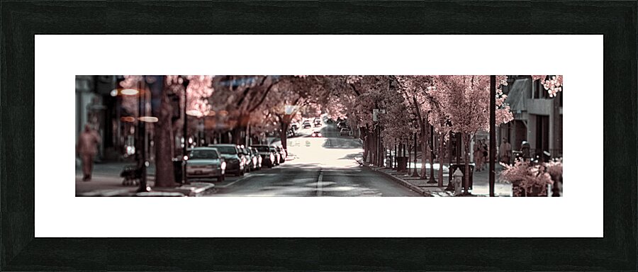 City in Bloom: Yorks Stroll Through Infrared Hues - Pano Picture Frame print