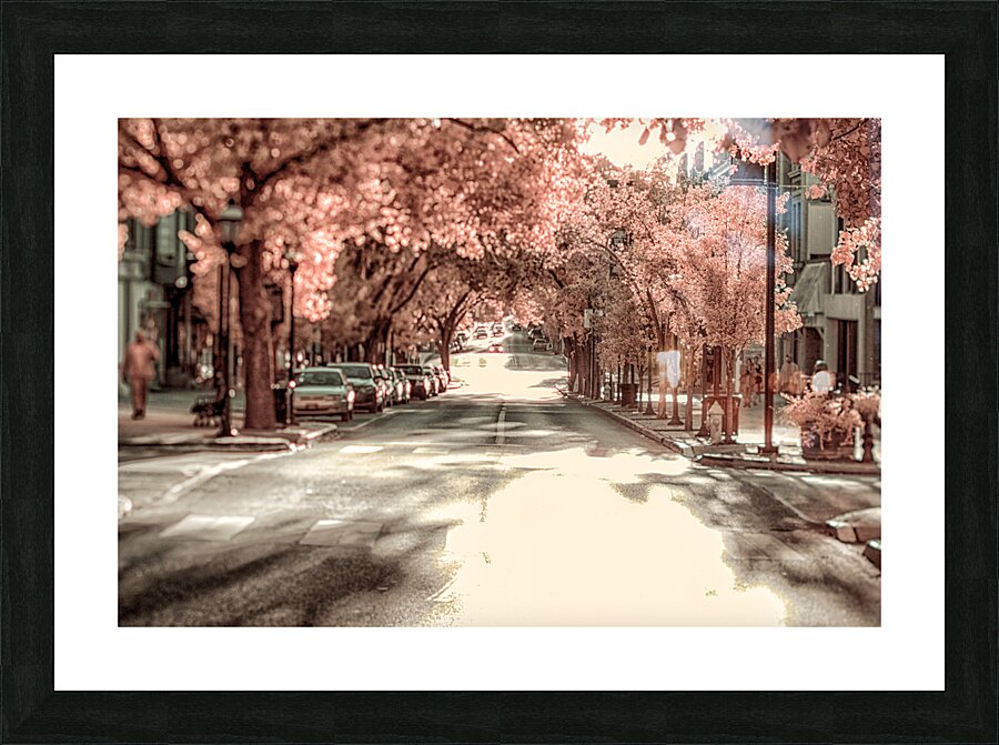 City in Bloom: Yorks Stroll Through Infrared Hues Picture Frame print