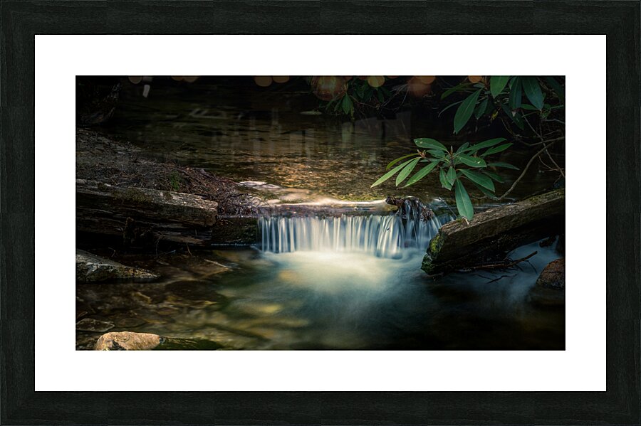 Natures Golden Cascade Picture Frame print