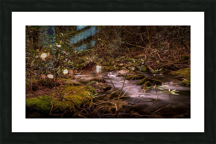 Whispers of the Creek Picture Frame print
