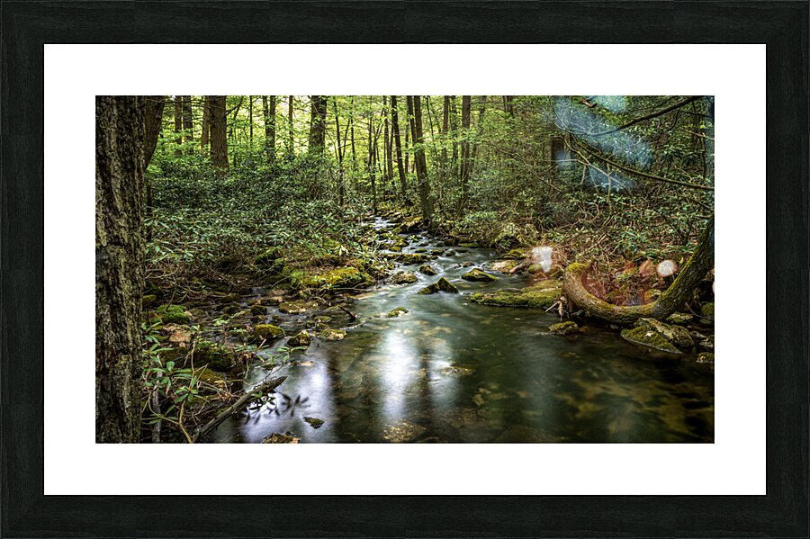 Forest Streams Light Dance Picture Frame print