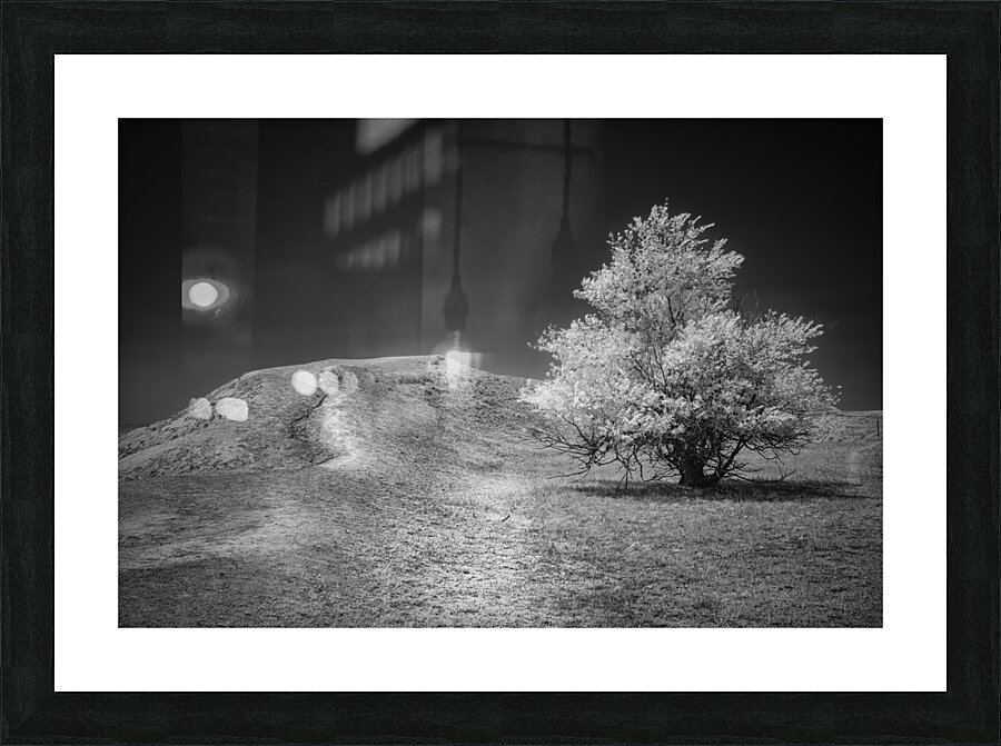 Silent Beauty: Navigating the Badlands with My Companions Picture Frame print