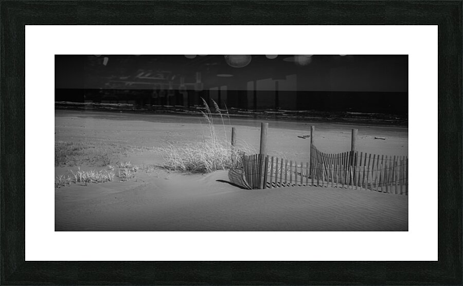 Gaurded Calm Picture Frame print