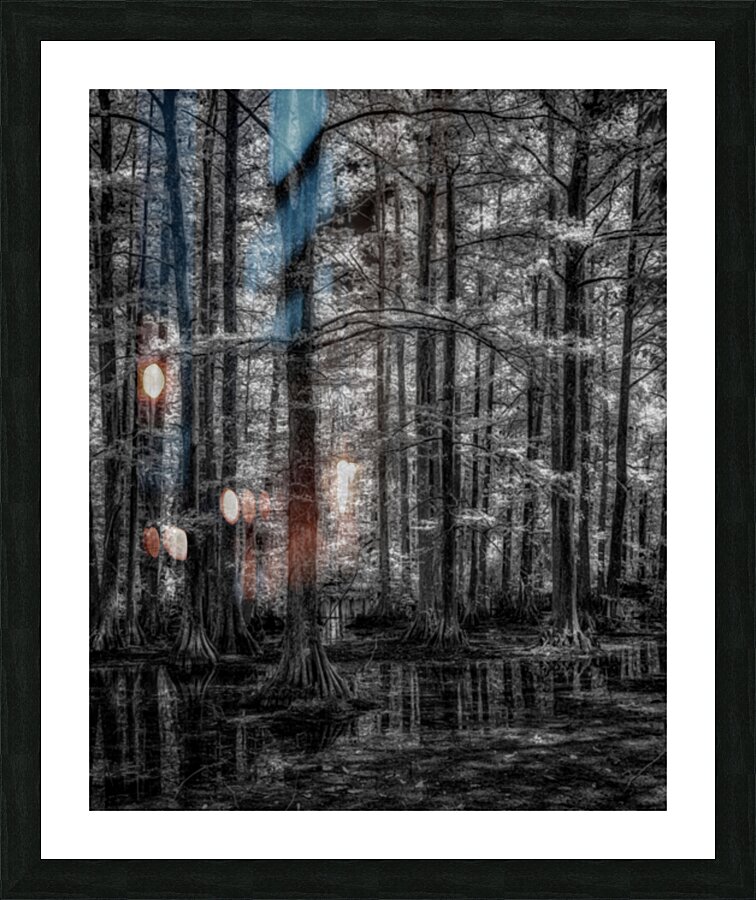 Cypress Whispers at Dawn Picture Frame print