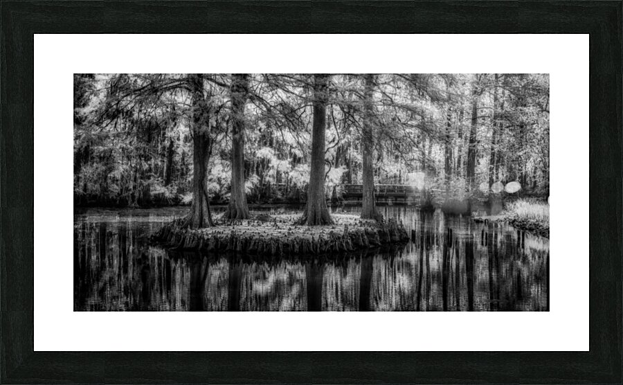 Four Bald Island Picture Frame print