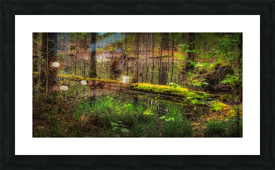 Mossy Log Picture Frame print