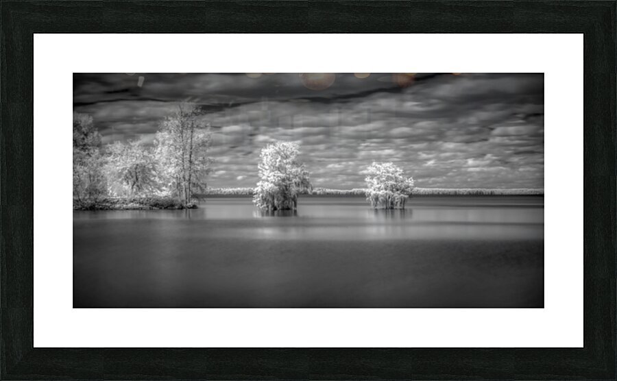 Tranquil Cypress Dreams: Santee State Park Impression et Cadre photo