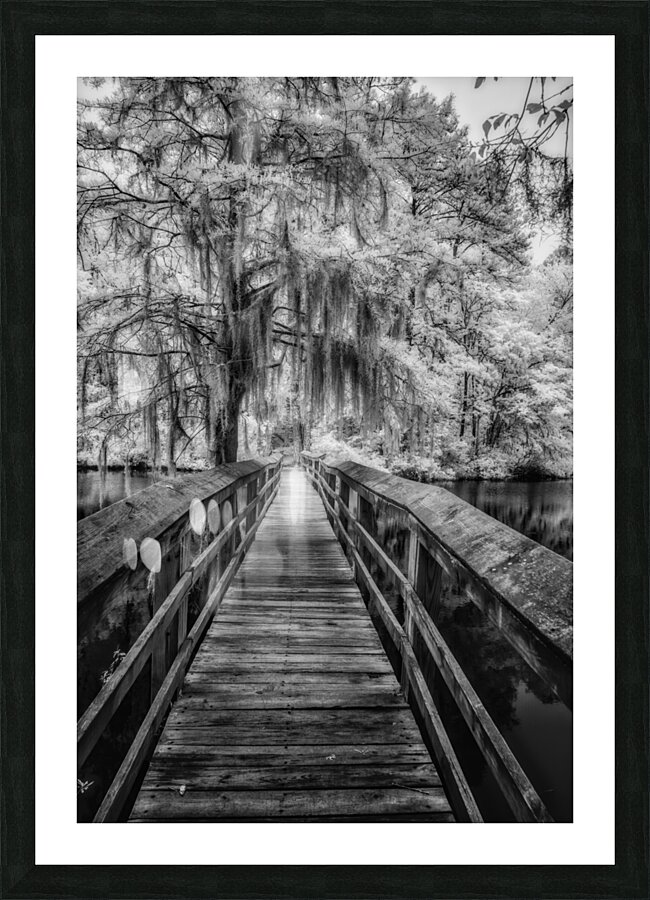 Questionable Bridge Picture Frame print